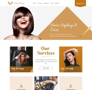 Hair Salon Wordpress Theme