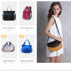 Fashion Bags Website Template - Shopify Theme