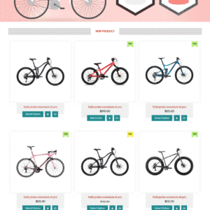 Bicycle WordPress Theme